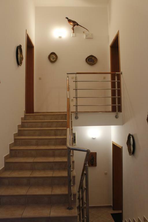 Apartmani Zeljko Metajna Exteriör bild
